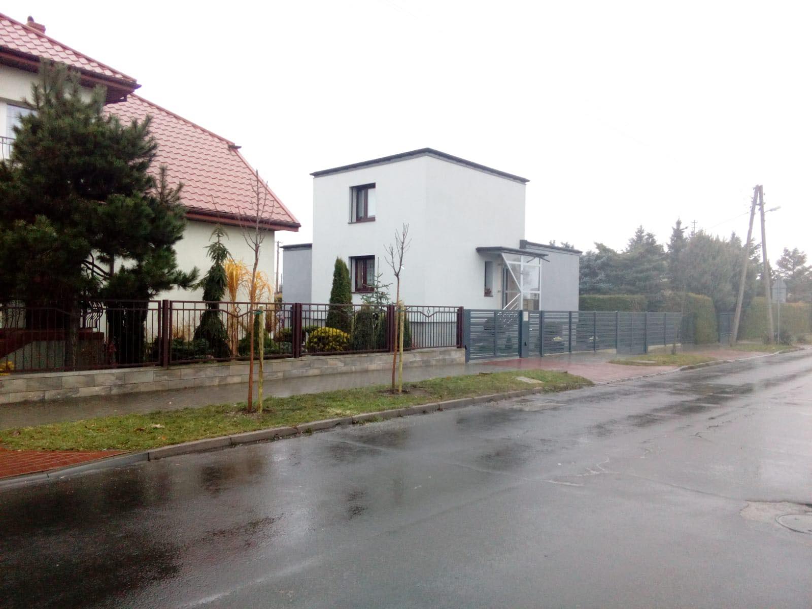 Nowe drzewa w Kutnie