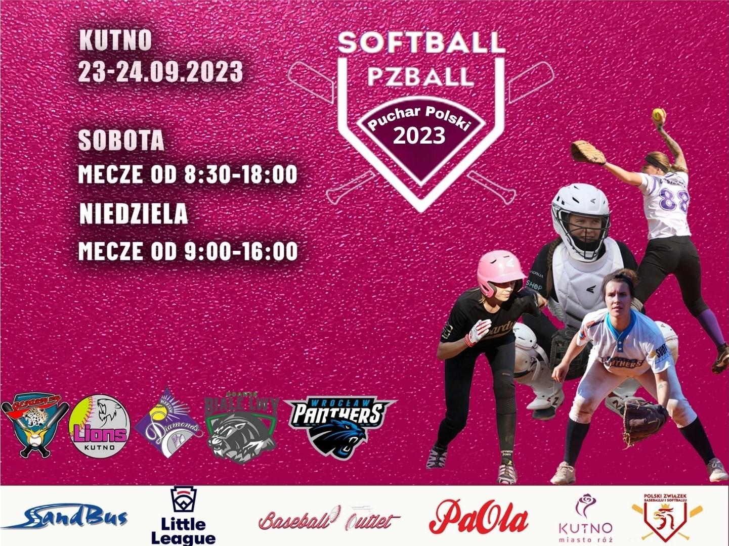 Baseball grafika 