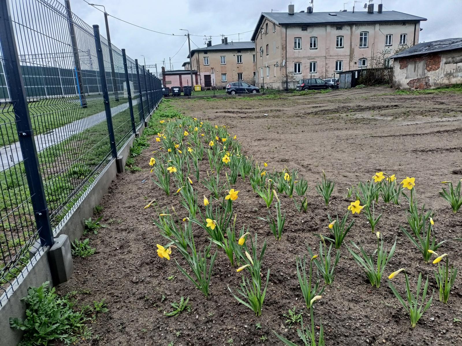 zdjęcie z wydarzenia