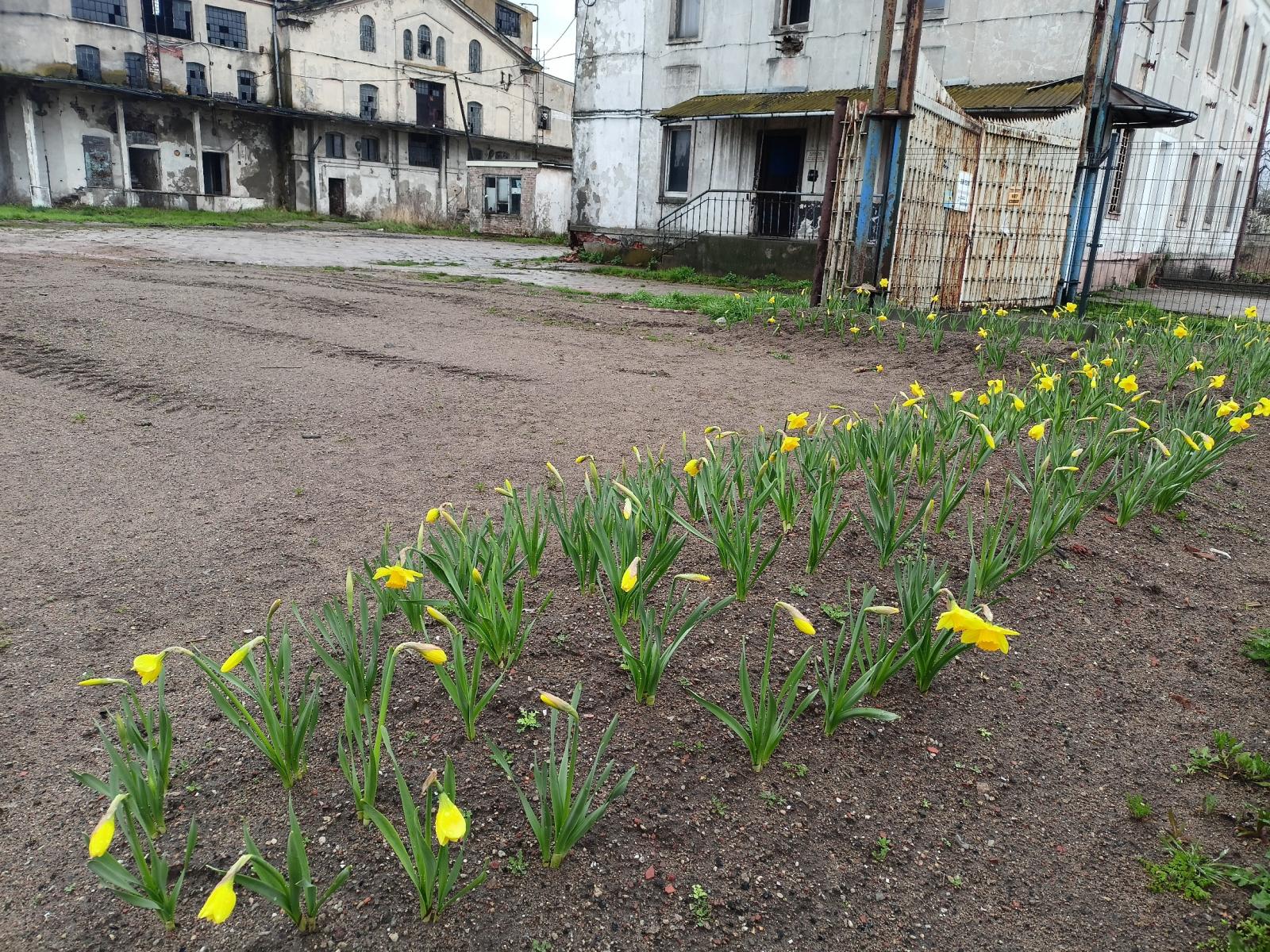 zdjęcie z wydarzenia