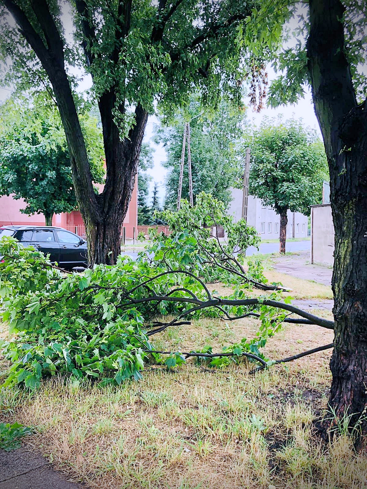 Szkody po sobotniej nawałnicy