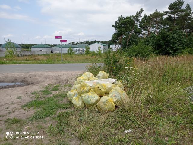 Akcja zbierania odpadów