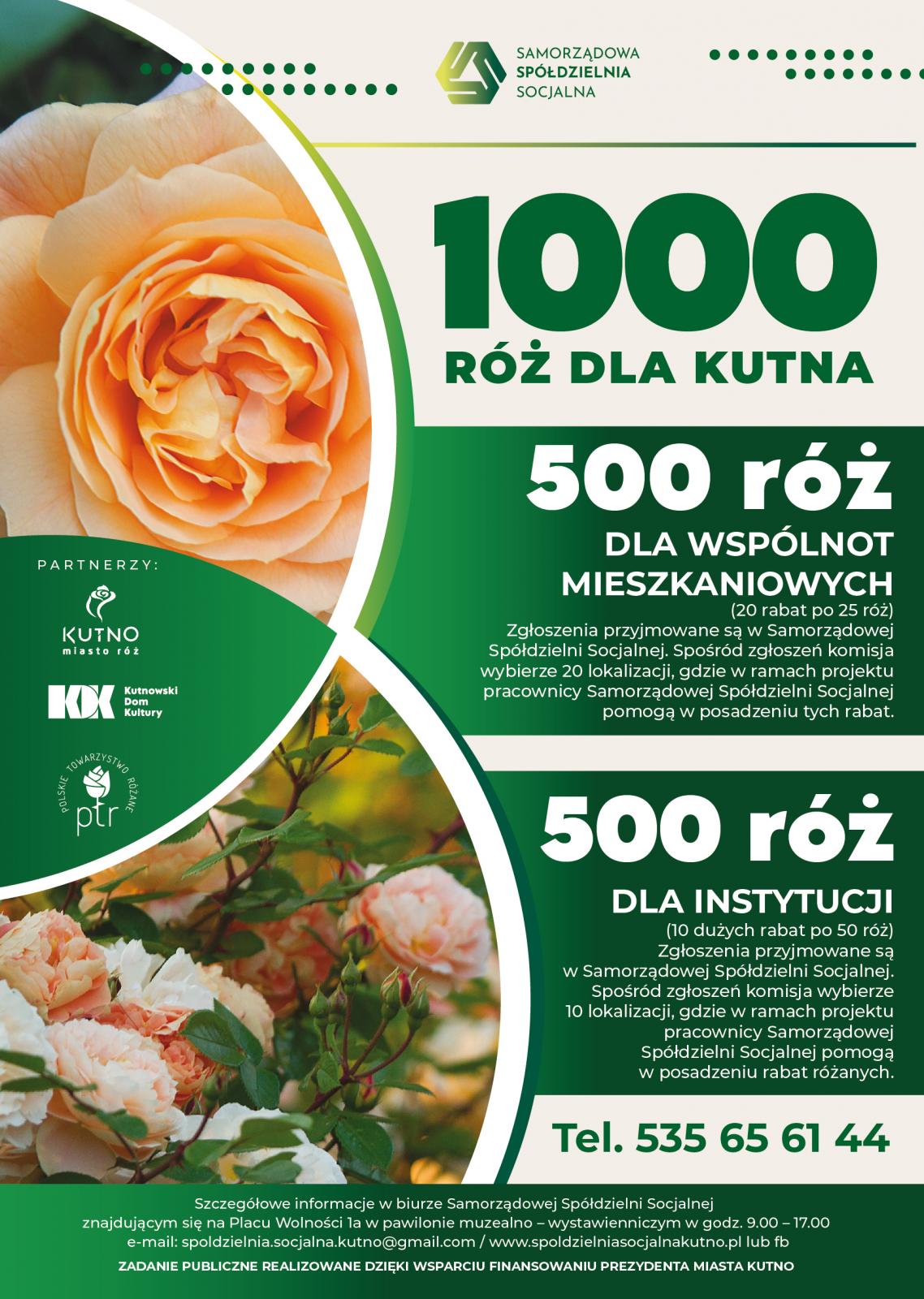 1000 róż dla Kutna