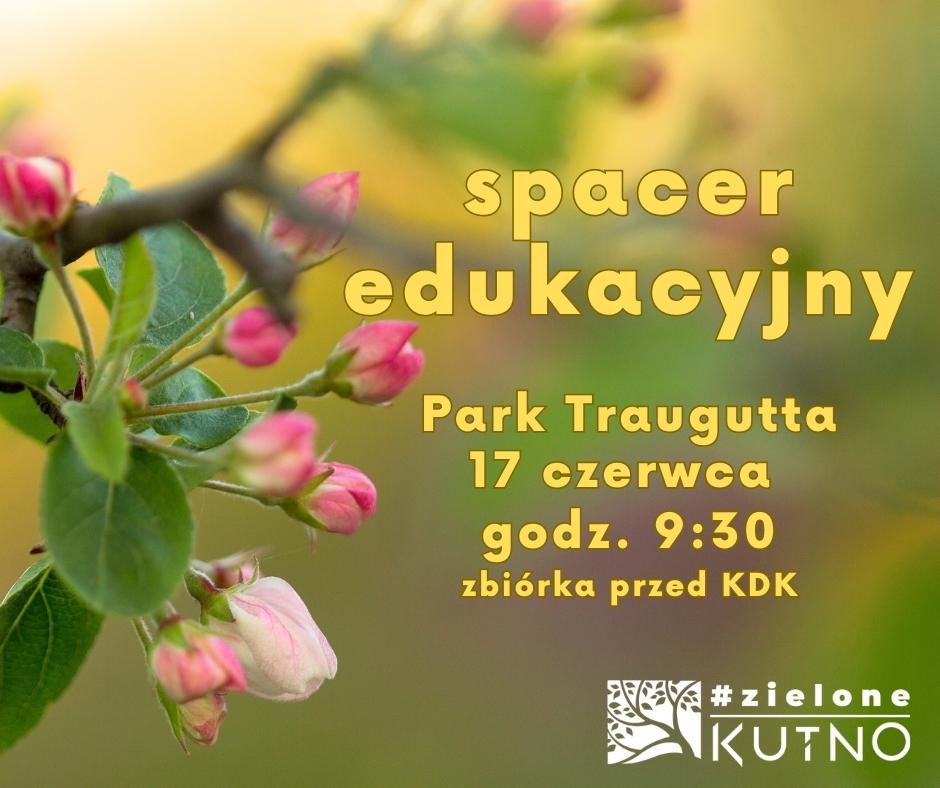Spacer edukacyjny grafika