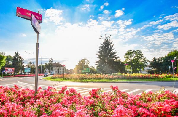 The City of Kutno