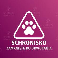 Schronisko w Wojtyszkach zamknięte do odwołania