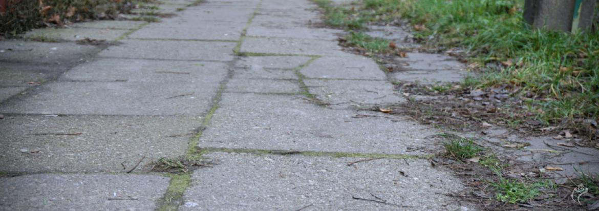 Znane są kolejne przyszłoroczne inwestycje