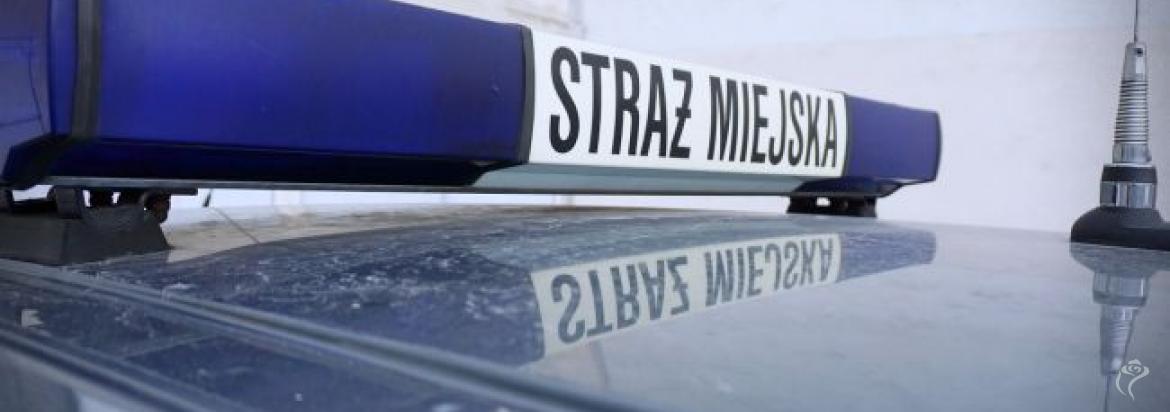 Będzie zimno, zadbajmy o potrzebujących i zwierzęta