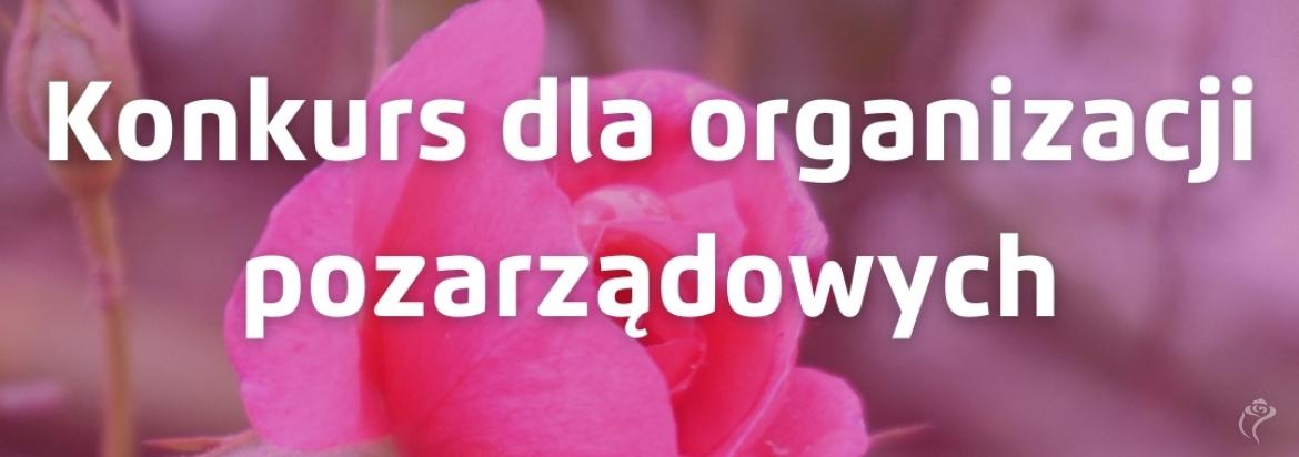 Na zdjęciu widać ogłoszenie o konkursie