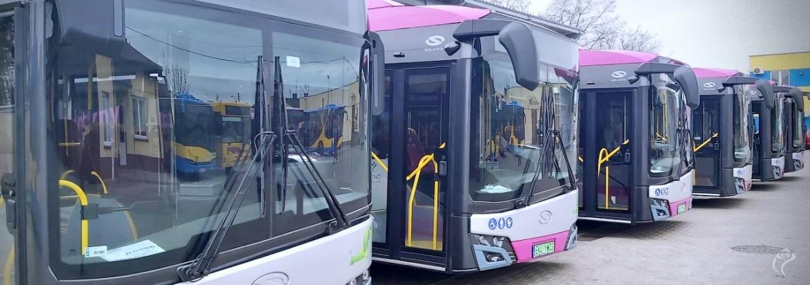 Autobusy MZK Kutno