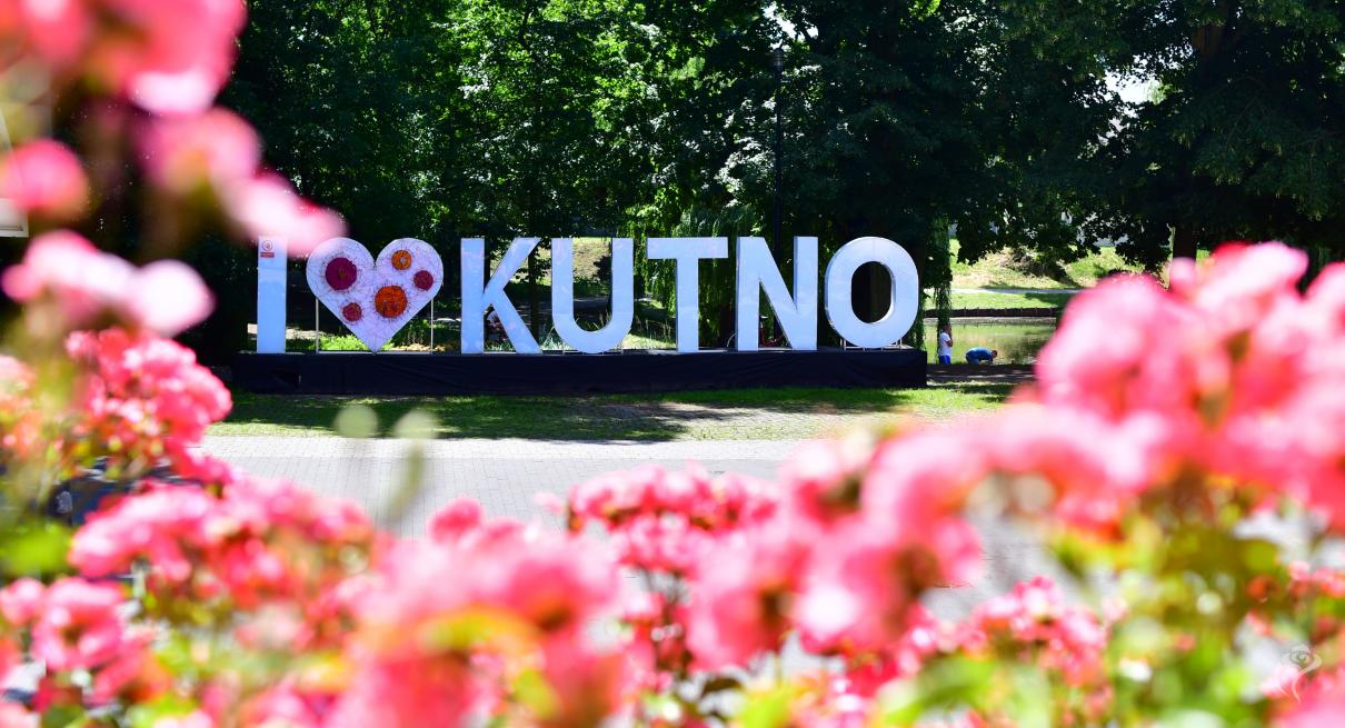 Jedno ze zdjęć róż w Kutnie w obiektywie Łukasza Stasiaka
