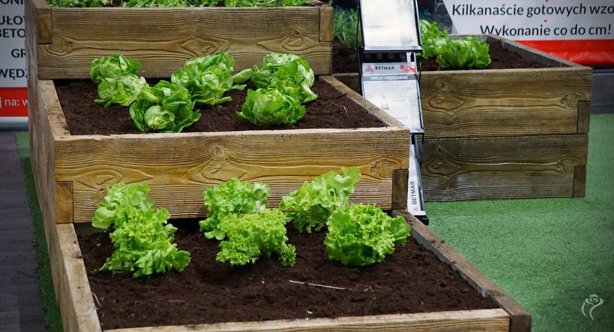 Kutno na targach "Gardenia" 2022