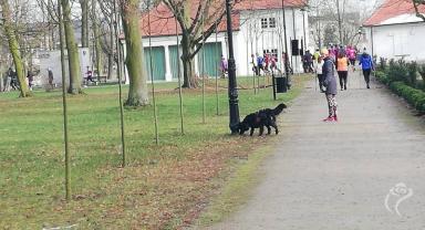 Dzień kobiet na sportowo