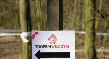 Narodowy Dzień Pamięci Żołnierzy Wyklętych 2020
