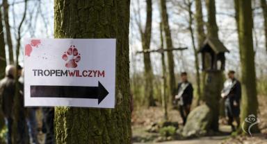 Narodowy Dzień Pamięci Żołnierzy Wyklętych 2020