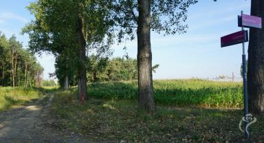 Inwestycje drogowe