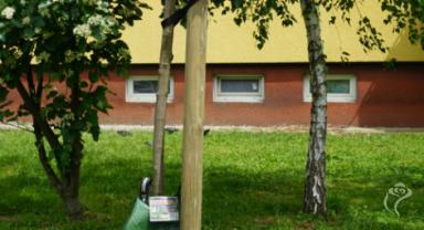 Więcej zieleni na ulicach Kutna