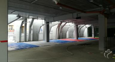 Nasadzenia zieleni na Placu Wolności i Rynku Zduńskim