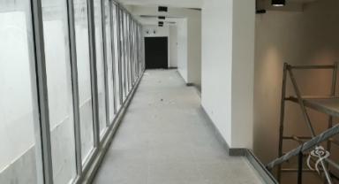 Nasadzenia zieleni na Placu Wolności i Rynku Zduńskim