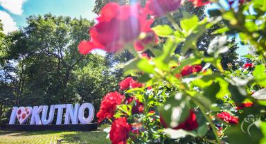 Jedno ze zdjęć róż w Kutnie w obiektywie Łukasza Stasiaka