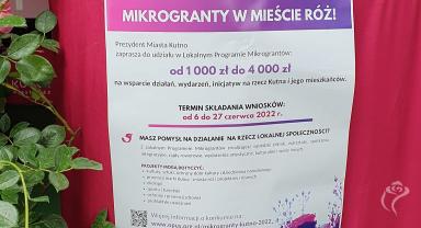 Plenerowe stoisko urzędu miasta podczas Pikniku Wśród Róż