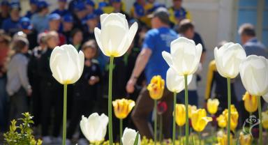 Ukraińscy sportowcy na dziedzińcu Pałacu Saskiego