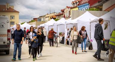 Kiermasz Różany na Placu Wolności