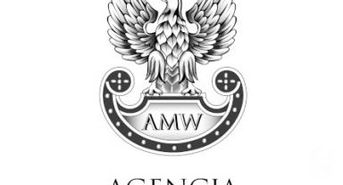 Pisemny przetarg na sprzedaż asortymentu wojskowego