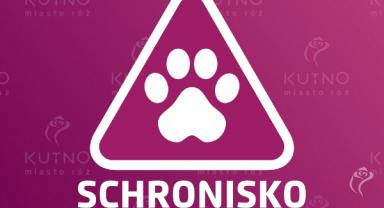 Schronisko w Wojtyszkach zamknięte do odwołania