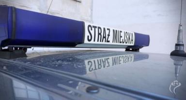Będzie zimno, zadbajmy o potrzebujących i zwierzęta