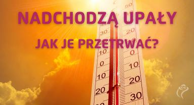 Na zdjęciu widać słońce i termometr
