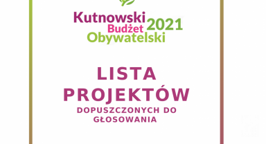 Grafika lista projektów dopuszczonych do głosowania