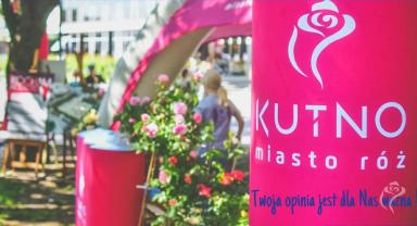 Badania warunków życia i jakości usług publicznych w Kutnie