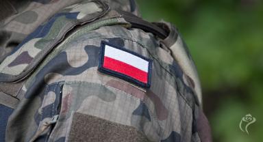Żołnierz Armii Polskiej