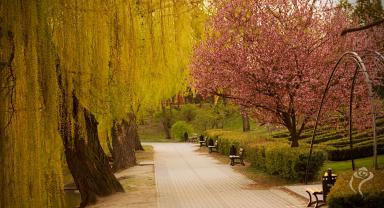 Park Traugutta
