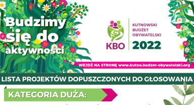 Grafika opisująca listę projektów dopuszczonych do głosowania
