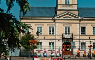 Róże w przestrzeni miejskiej